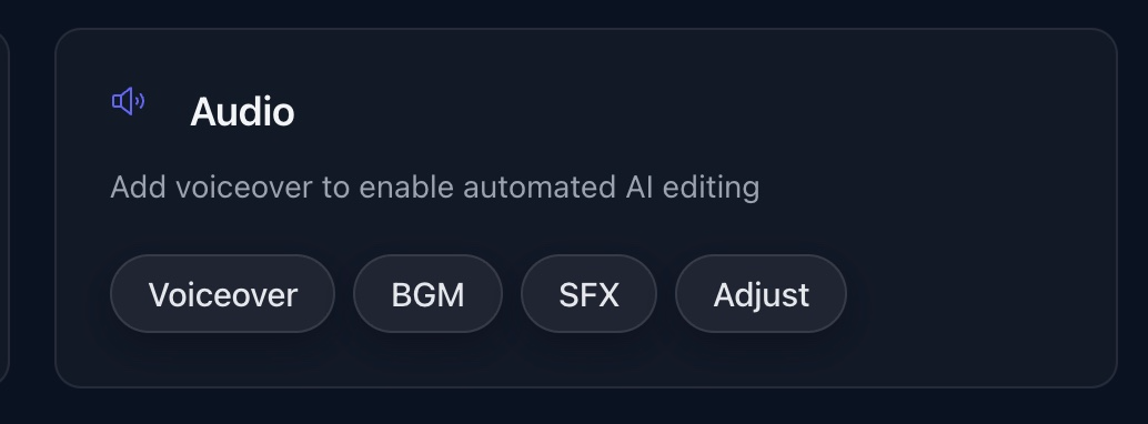 Screenshot: Audio Options